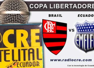 Emelec, Fútbol, Copa Libertadores,